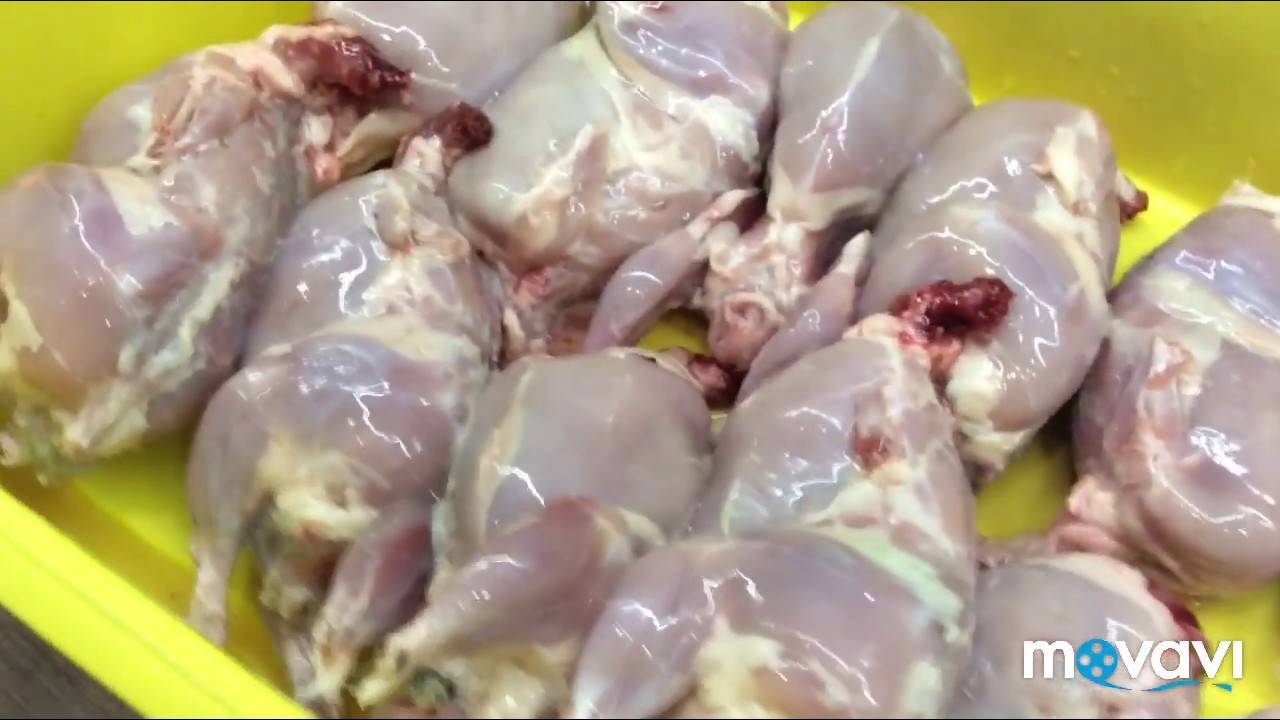 Забой перепелов, сколько растет перепелка до убоя, как ощипать перепелов