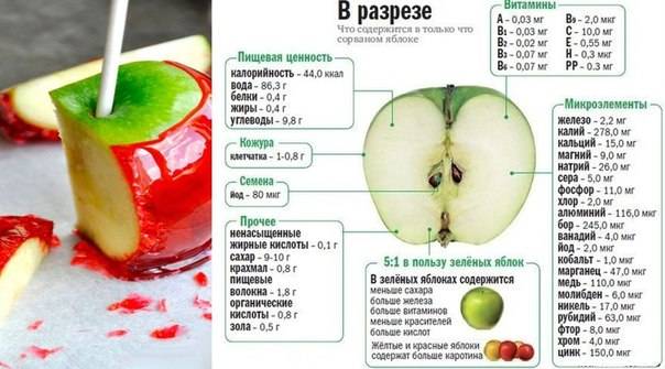 Зеленое яблоко: калорийность на 100 грамм, в 1 шт., польза, вред, витамины, минералы – хорошие привычки