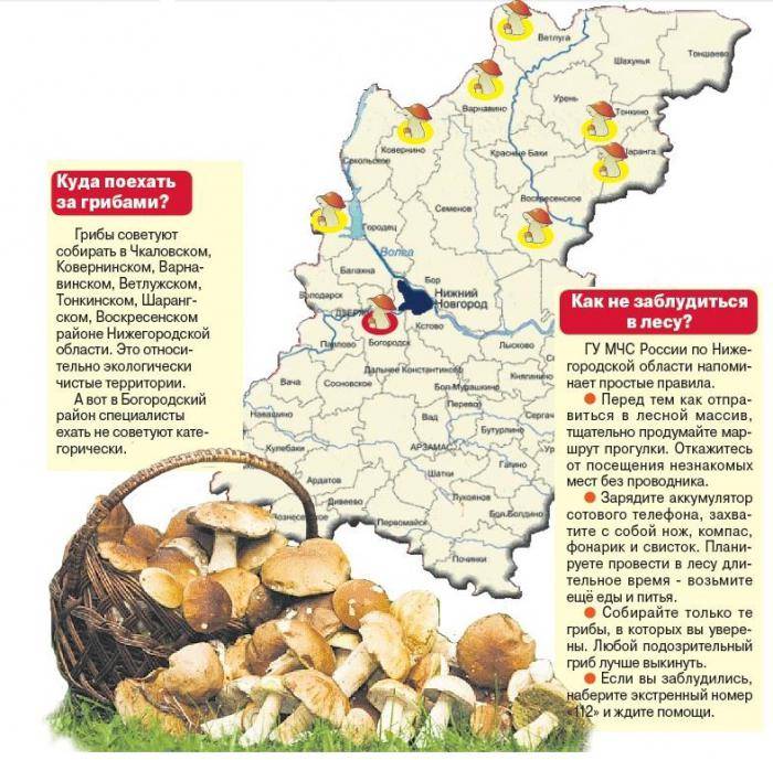 Карта тарасиха нижегородская область