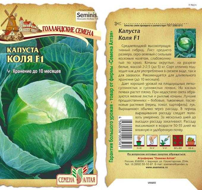 Капуста крюмон: описание сорта, урожайность, отзывы