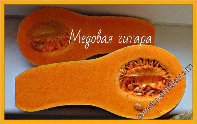 Как ухаживать за тыквой гитара?
