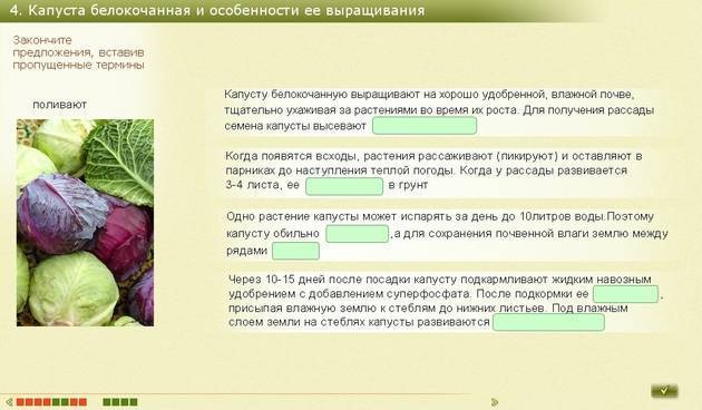 Какие овощи можно кормящей маме? | уроки для мам