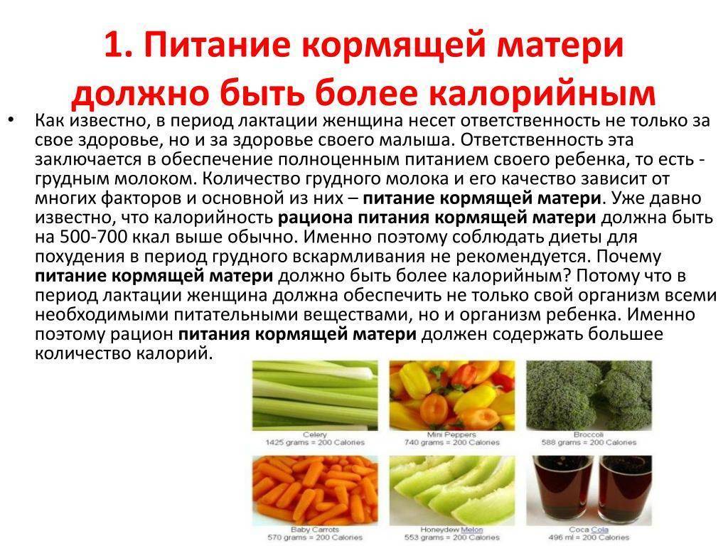 Щавель - полезные свойства, состав и противопоказания (+ 15 фото)