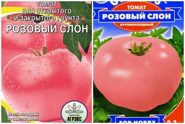 Томат малиновый слон: характеристика и описание сорта, отзывы тех кто сажал помидоры об их урожайности, видео и фото семян гавриш