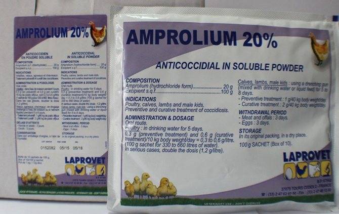 Ампролиум: инструкция по применению для лечения у цыплят-бройлеров и другой домашней птицы