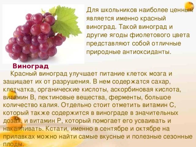 Блог от иоаннывиноград кишмиш – польза зеленого, черного, синего, розового винограда для организма человека
виноград кишмиш – польза зеленого, черного, синего, розового винограда для организма человека