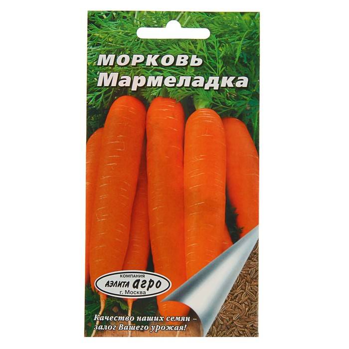 Лучшие сорта моркови — фото и подробное описание, отзывы
