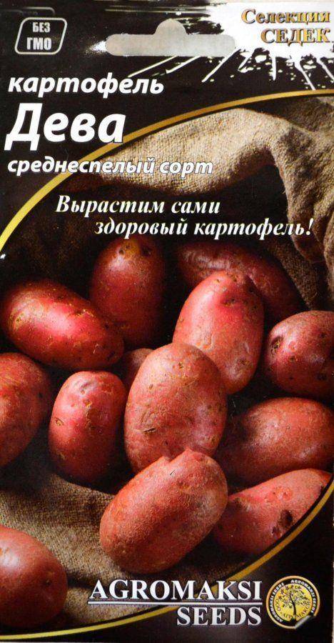 Картофель дева: описание, фото, отзывы о сорте