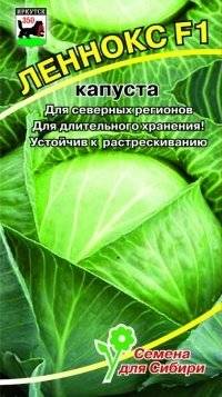 Сорт капусты леннокс: описание, агротехника выращивания