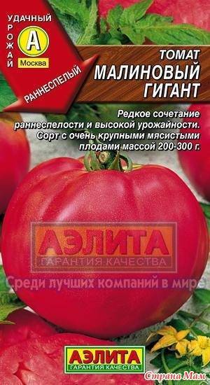 «малиновый гигант» — сорт помидор раннего срока созревания