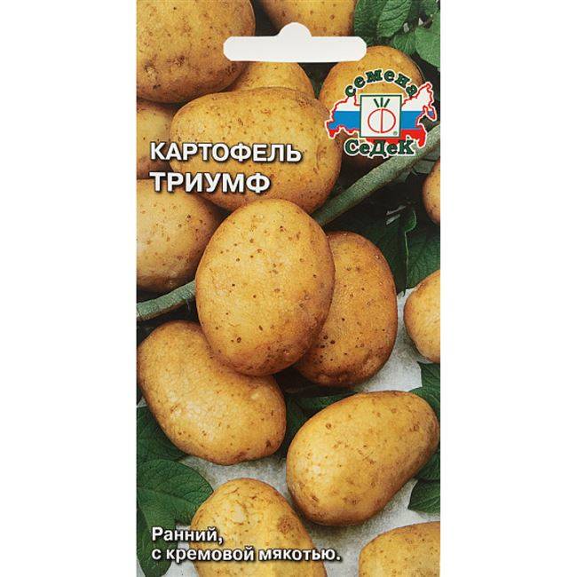 Сорт картофеля триумф характеристика фото
