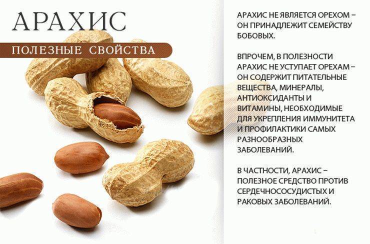 Грецкие орехи при беременности — польза, противопоказания и риски употребления
