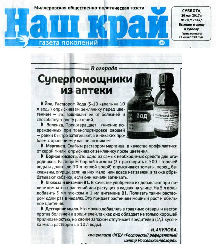 Подкормка капусты в открытом грунте: сроки, обзор удобрений, количество подкормки