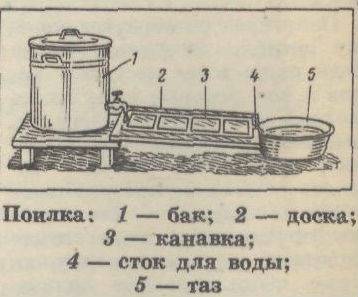 Поилки для уток автоматические