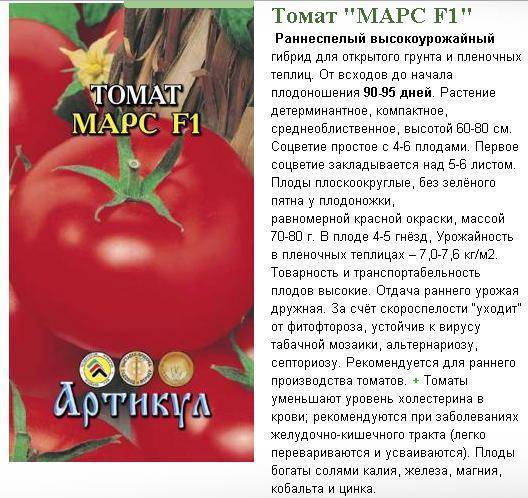 Описание сорта томатов импала и их характеристики