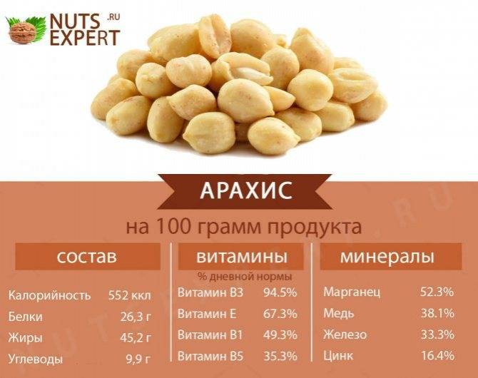 Грецкий орех, польза и вред для организма человека