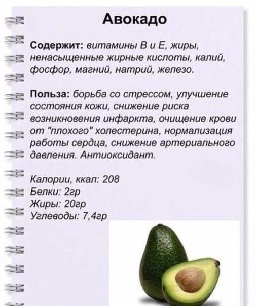Авокадо: польза и вред для женщин. полезные свойства авокадо для женщин - samchef.ru