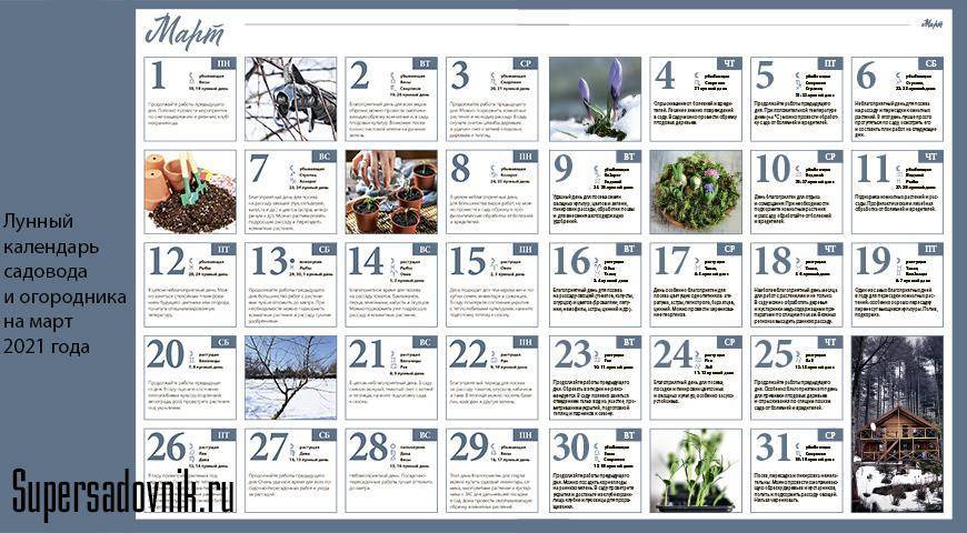 Лунный календарь 2021 по месяцам посева, посадки цветов: таблица благоприятных дней. календарь цветовода на 2021 год таблица, посадка, пересадка, размножение, подкормка, полив, обрезка