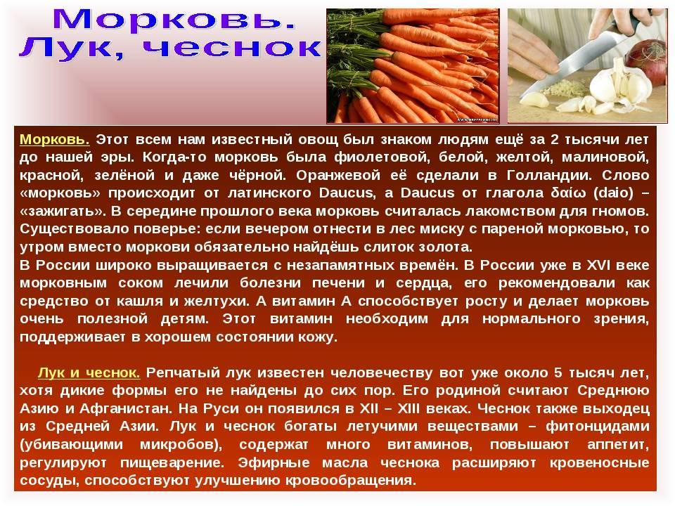 Можно ли кушать свежую морковку при беременности, пить из нее сок, кушать вторые блюда с термически обработанным овощем и в чем польза оранжевого овоща