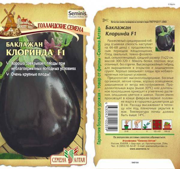 Сорт баклажанов Клоринда — описание и особенности выращивания