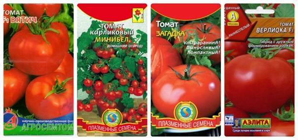 Томат хлыновский - характеристика и описание сорта, фото, урожайность, отзывы тех, кто сажал