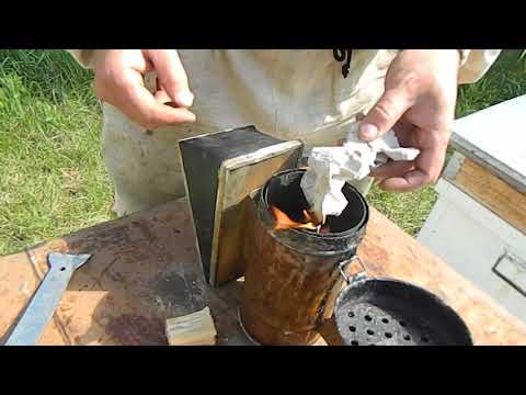 Дымарь для пчёл своими руками: как сделать из чайника, инструкция, роль дыма для пчёл