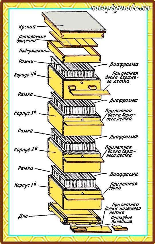 Улей варрэ чертеж