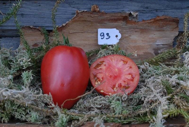 Характеристика и описание сорта томатов абаканский розовый