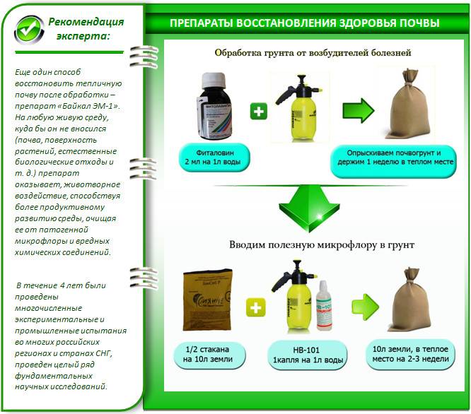 Обработка теплицы поликарбоната и стекла осенью от вредителей и болезней: конструкции и почвы