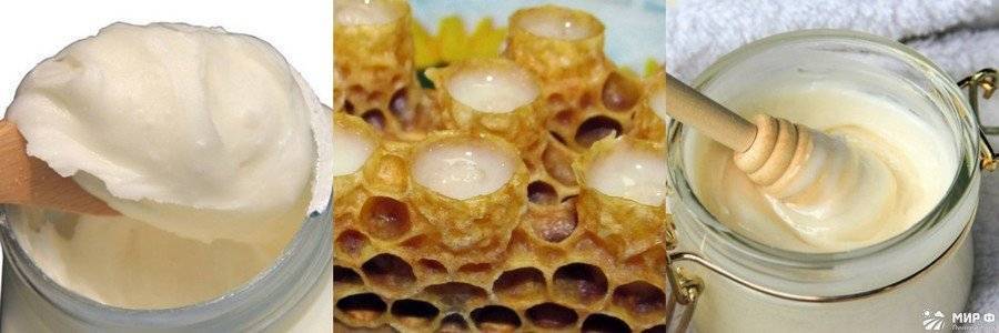 Как делают мед с маточным молочком и как отличить подделку