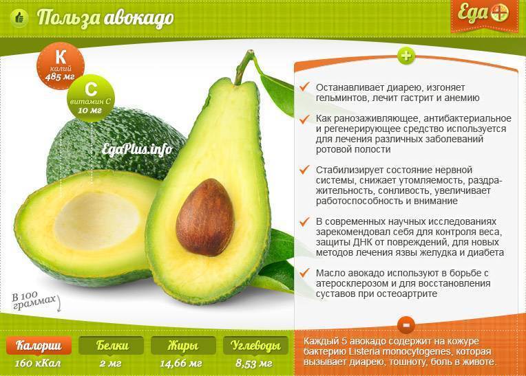 Польза и вред авокадо: как едят правильно