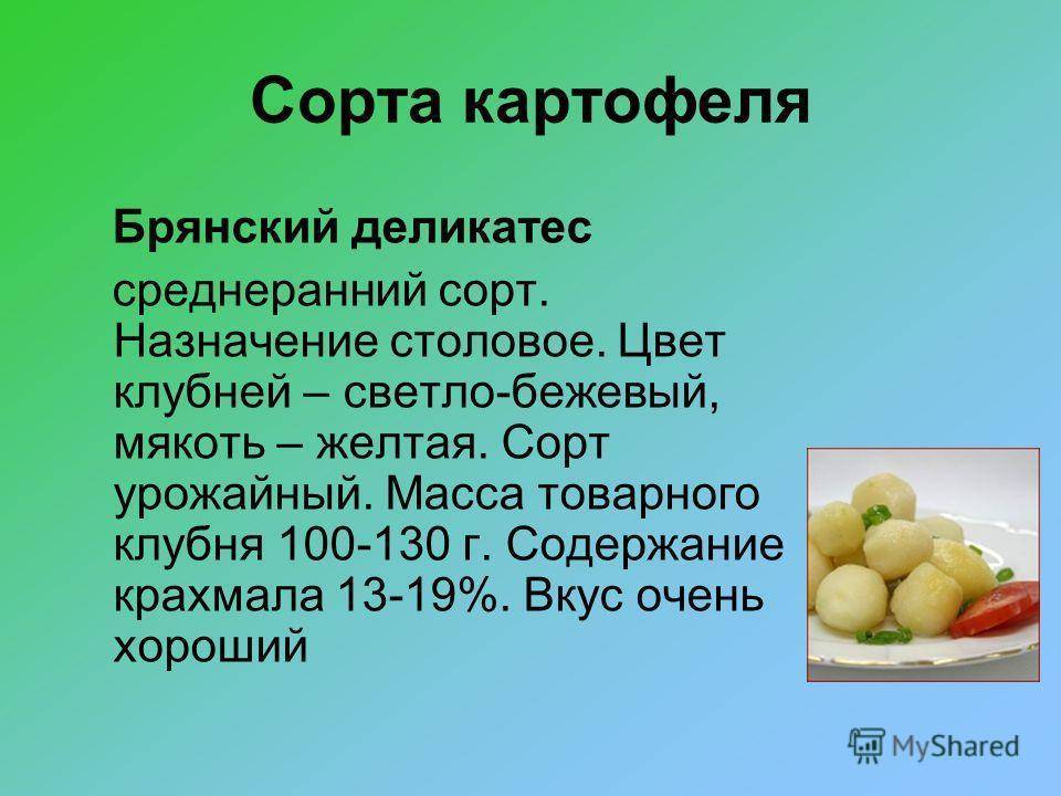 Картофель брянский деликатес описание сорта фото