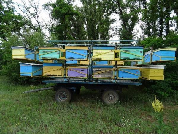 Прицеп для перевозки пчел: виды, как выбрать.