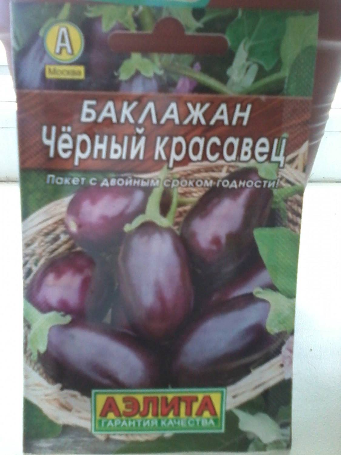 Чёрный красавец — баклажан для тёплого климата