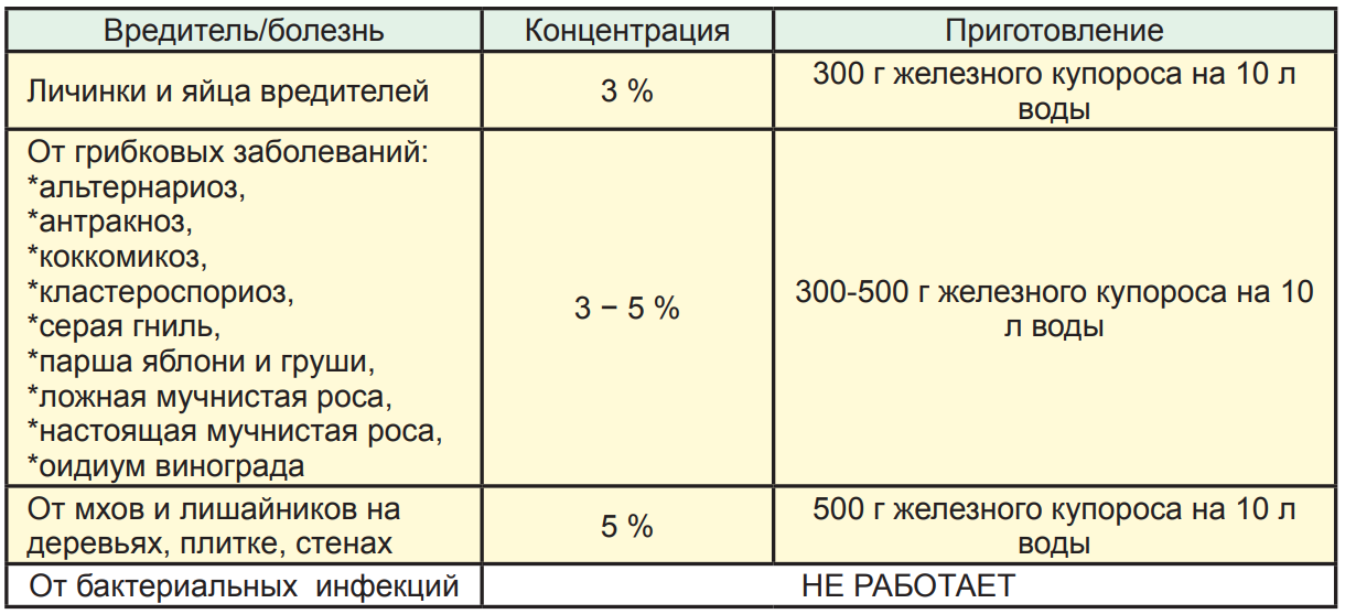 Таблица обработки железным купоросом. Железный купорос как разводить. Как разводить Железный купорос для опрыскивания деревьев. Железный купорос 3 процентный. Опрыскивание винограда медным купоросом