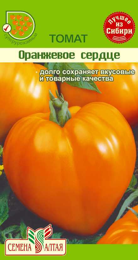 Томат «бычье сердце оранжевое» - новый крупноплодный сорт