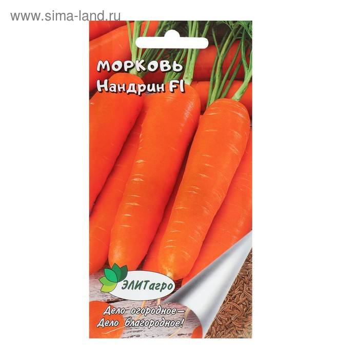 Морковь нандрин f1: описание, фото, отзывы