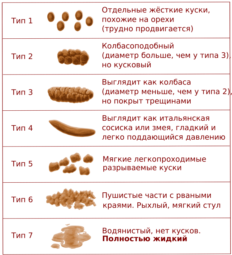 Запоры 3 лет. Бристольская шкала стула. Бристольская шкала формы кала. Оценка кала по Бристольской шкале. Типы нарушения стула по Бристольской шкале форм кала.