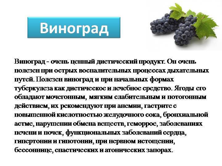 Синий виноград – польза, какой полезнее черный или белый