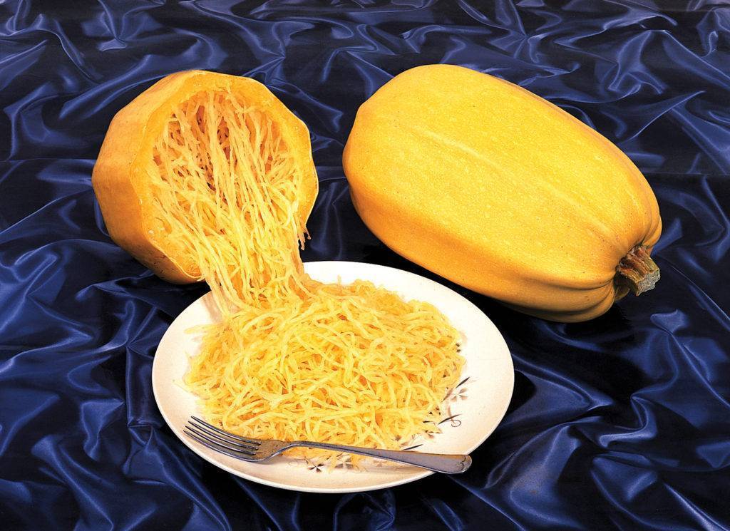 Как готовить кабачок спагетти рецепты с фото