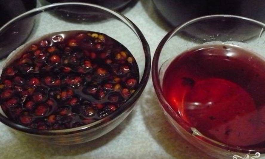 Заготовка лимонника на зиму в домашних условиях: рецепты с варкой и без + фото
