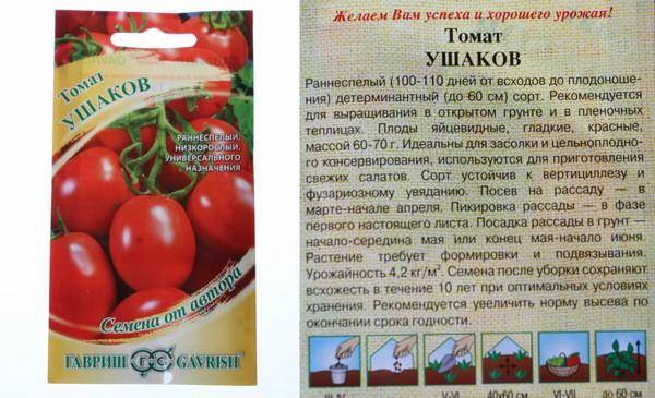 Маленькие помидоры с сахарным вкусом — томат f1 «настя сластена»