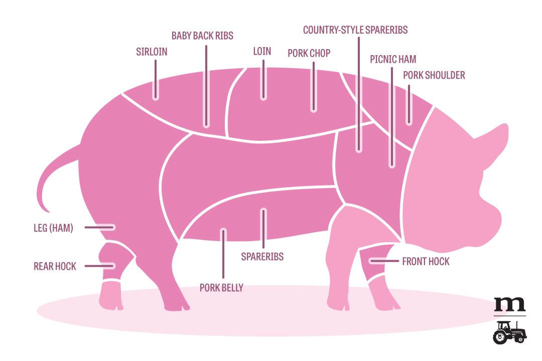 Разделка свиной туши и описание частей разделки свиной туши. обсуждение на liveinternet