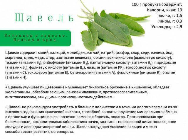 Вода — польза и вред для очищения организма - уз «гродненская университетская клиника»