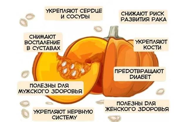 Диета при повышенном инсулине в крови, основные правила и ограничения