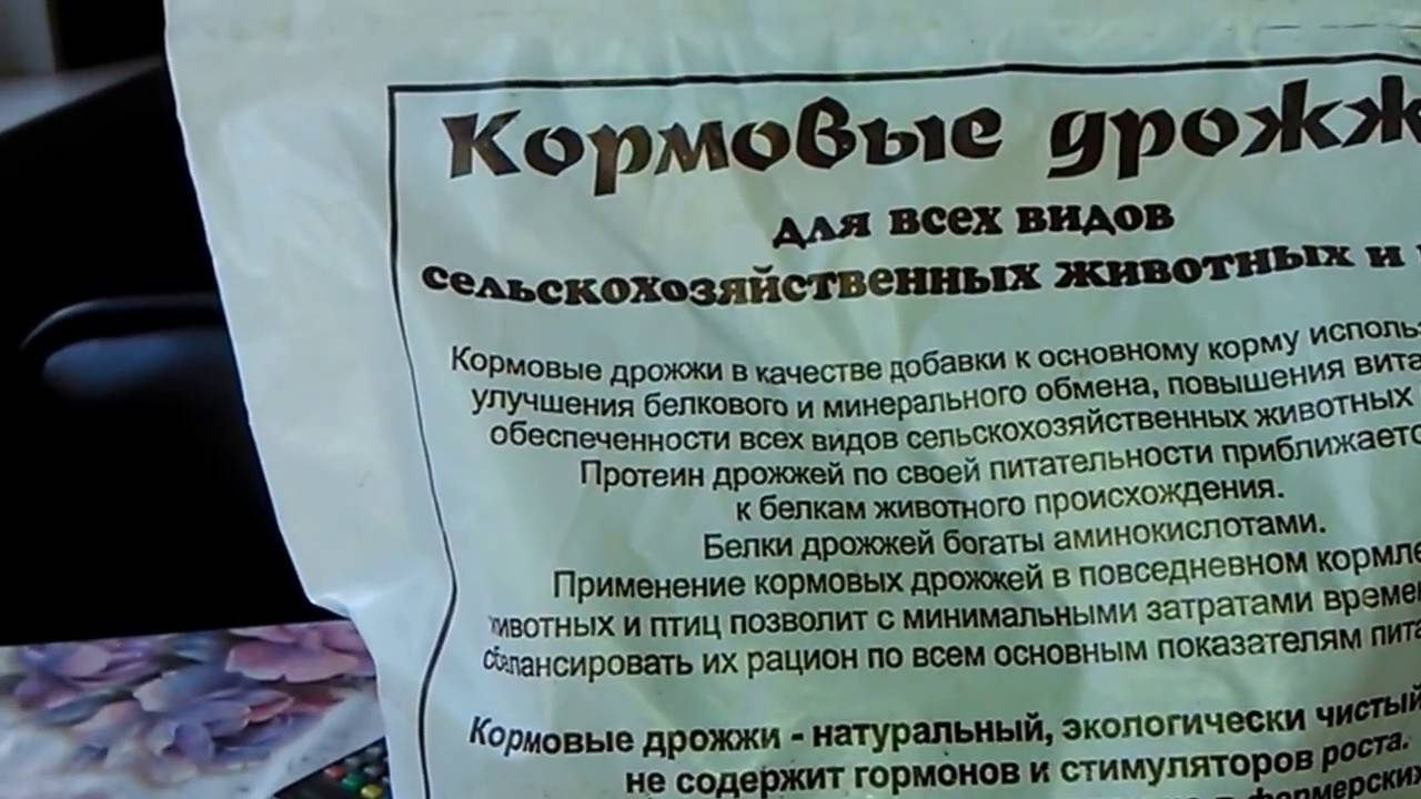 Насколько эффективны дрожжи для индюков
