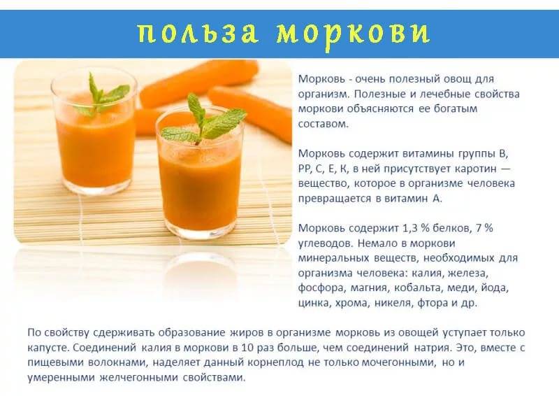 Морковь при беременности: можно ли и как есть корнеплод в 1, 2 и 3 триместры, а также чем полезен и вреден овощ во время вынашивания