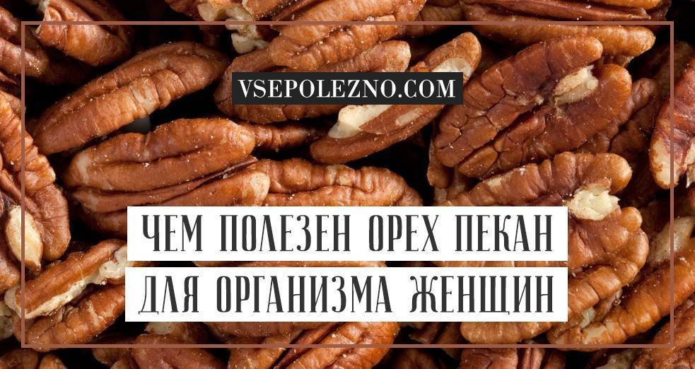 Орех пекан: польза и вред для организма, фото
