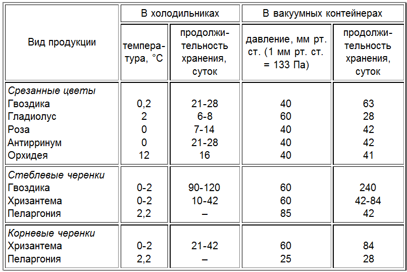 При какой температуре хранить тюльпаны для продажи. Температурный режим для хранения цветов. Температура хранения срезанных цветов. Оптимальная температура для хранения цветов.