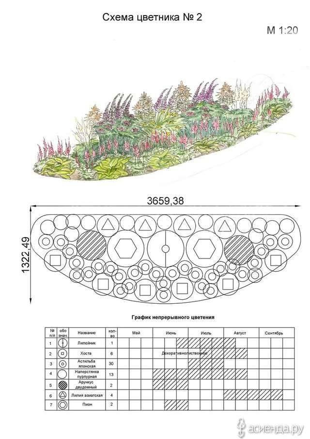 Схема миксбордера непрерывного цветения
